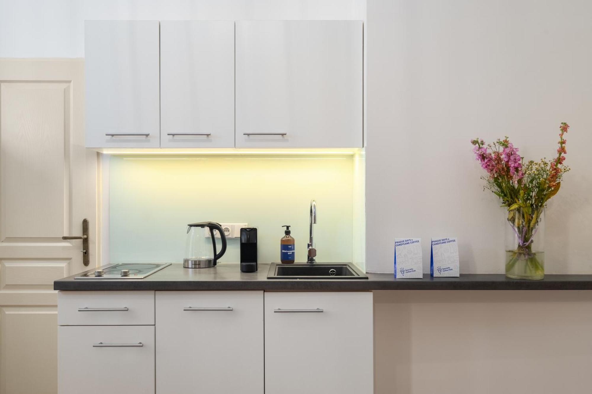 Stru House By Prague Days - Luxurious Apartments Next To National Theatre Luaran gambar